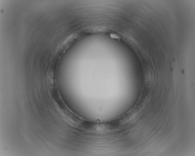 X0000074320264200609152039