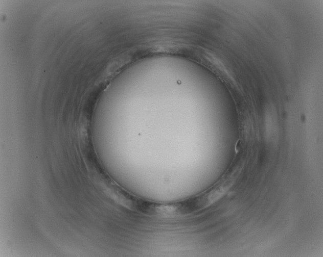 X0000074320265200609152039