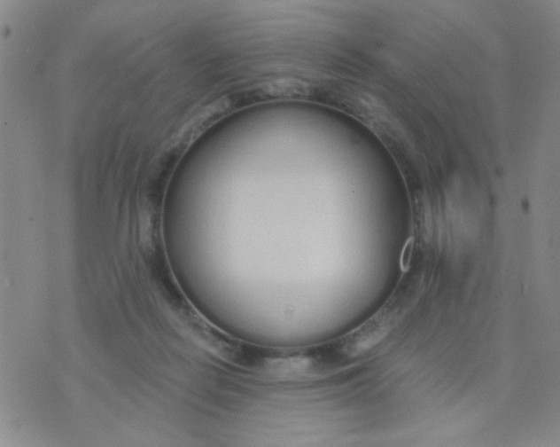 X0000074320266200609152039