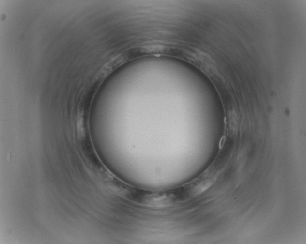 X0000074320267200609152039