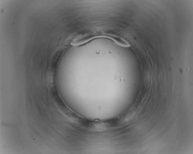 X0000074320268200609152039