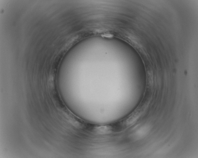 X0000074320269200609152039