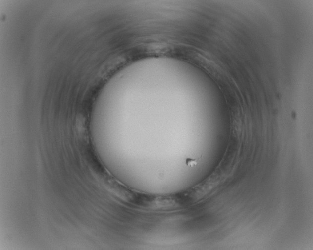 X0000074320270200609152039