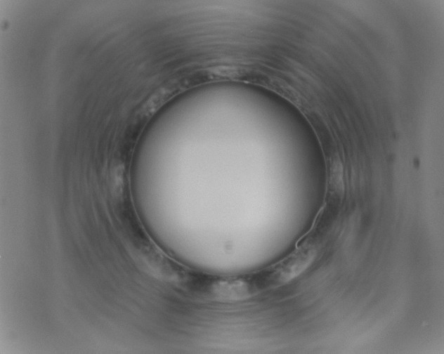 X0000074320271200609152039