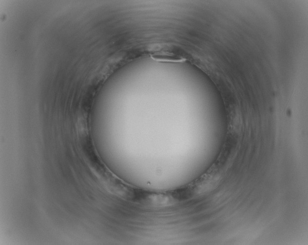 X0000074320272200609152039