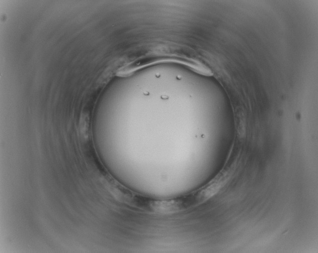 X0000074320273200609152039