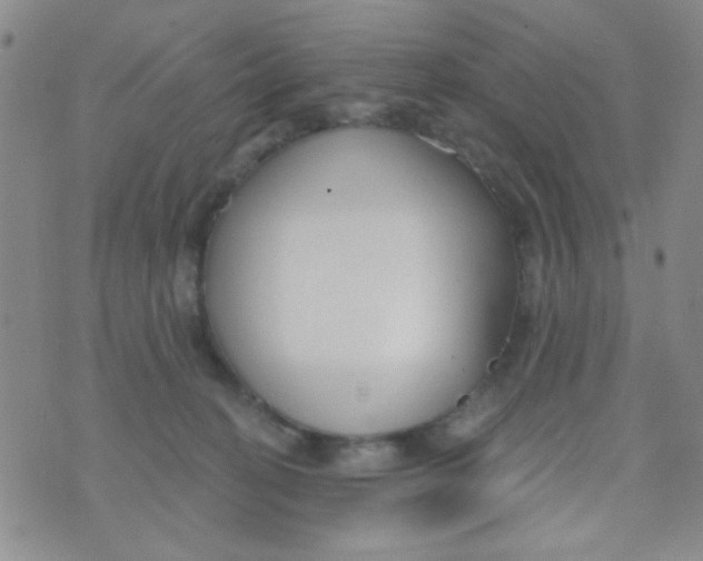 X0000074320274200609152039