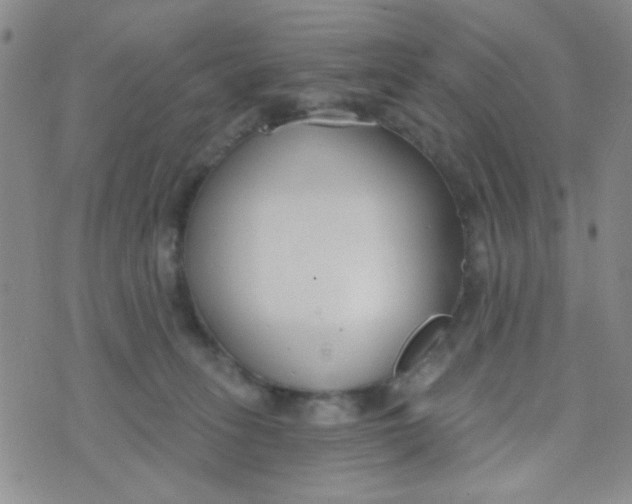 X0000074320275200609152039