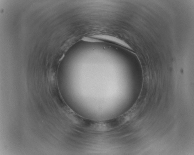 X0000074320276200609152039