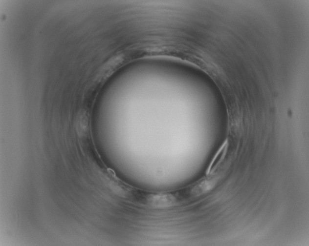 X0000074320277200609152039