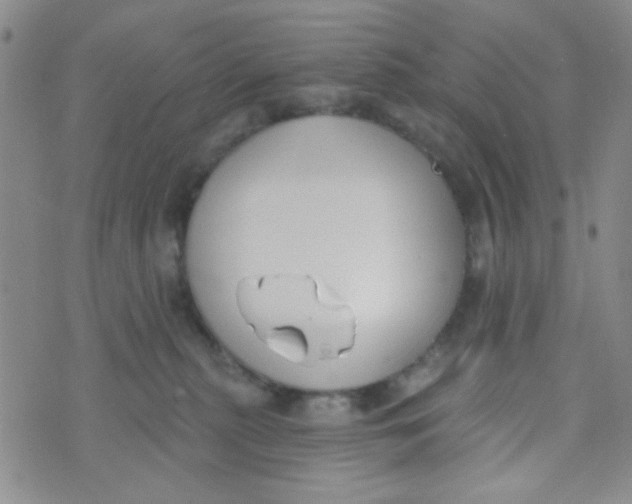 X0000074320279200609152039