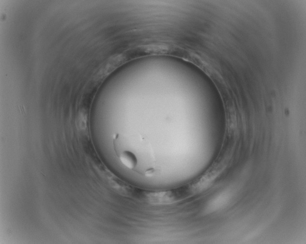 X0000074320281200609152039