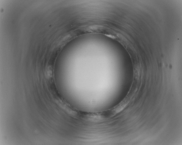 X0000074320284200609152040