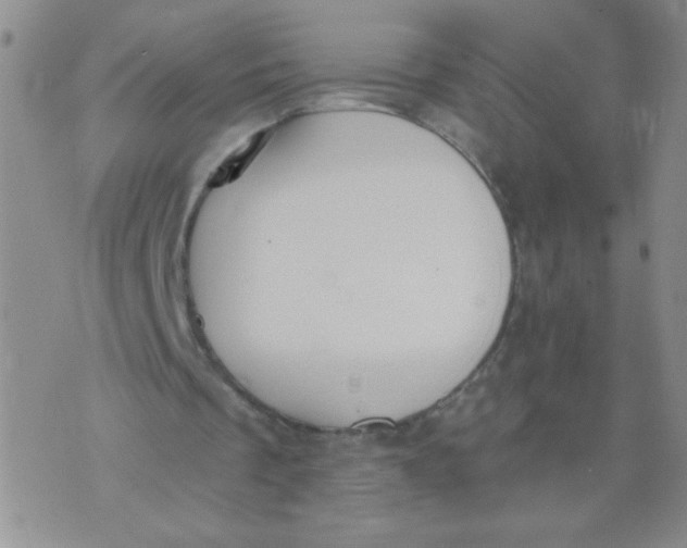 X0000074320289200609152039