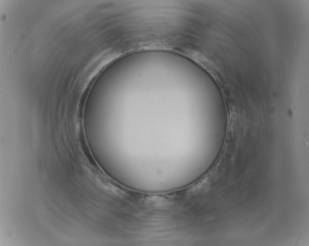 X0000074320290200609152039