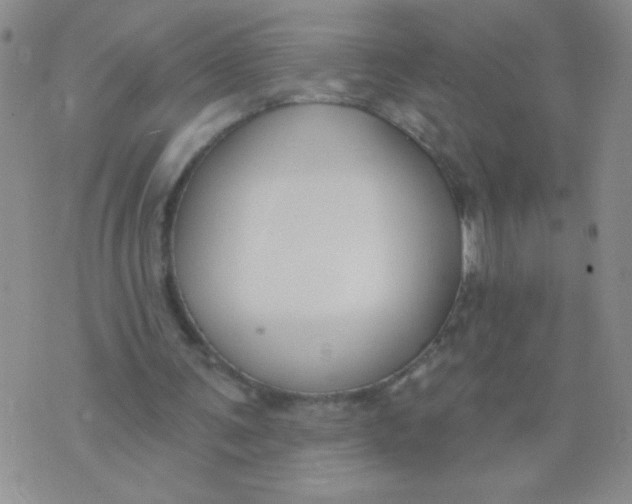 X0000074320291200609152039