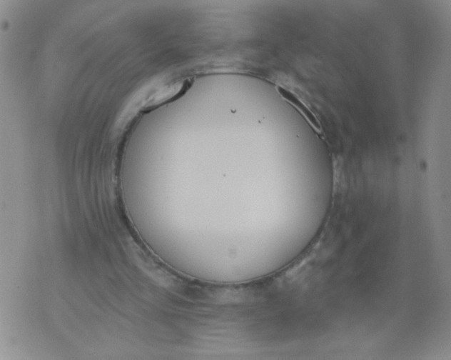 X0000074320293200609152039