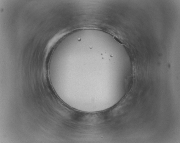 X0000074320294200609152039