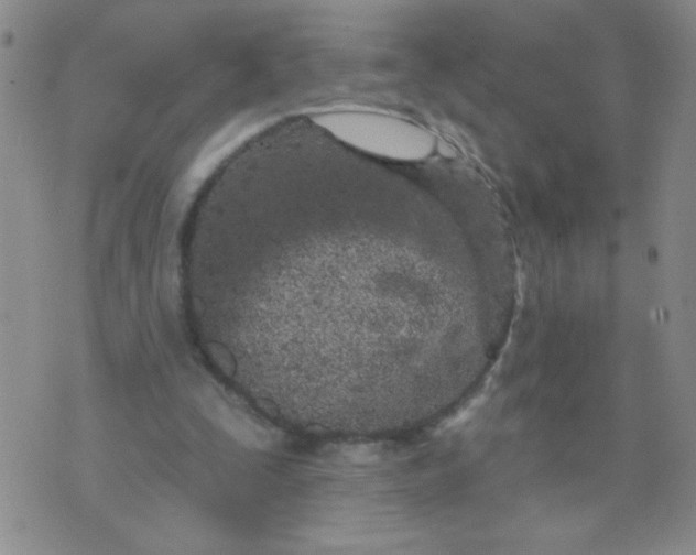 X0000074320295200609152039