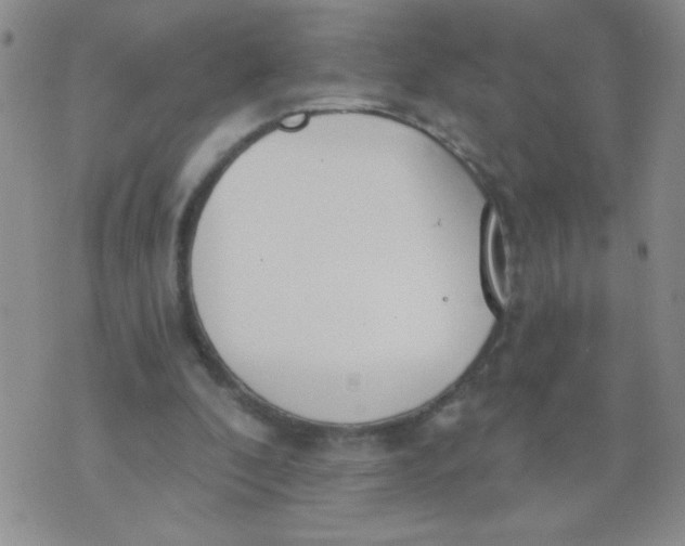 X0000074320296200609152039