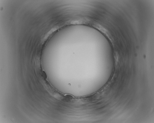 X0000074320297200609152039