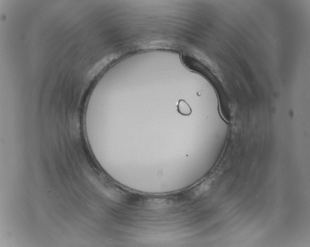 X0000074320298200609152039