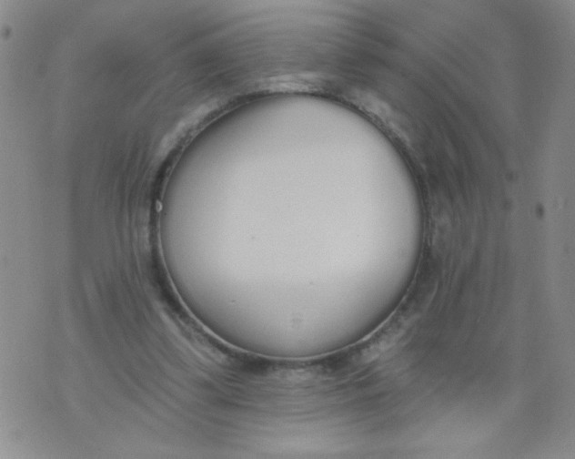 X0000074320299200609152039