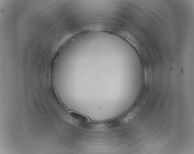 X0000074320301200609152039