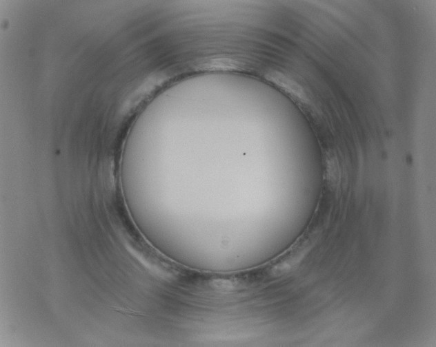 X0000074320302200609152039