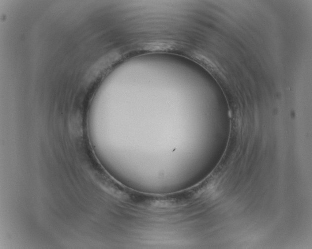 X0000074320303200609152039