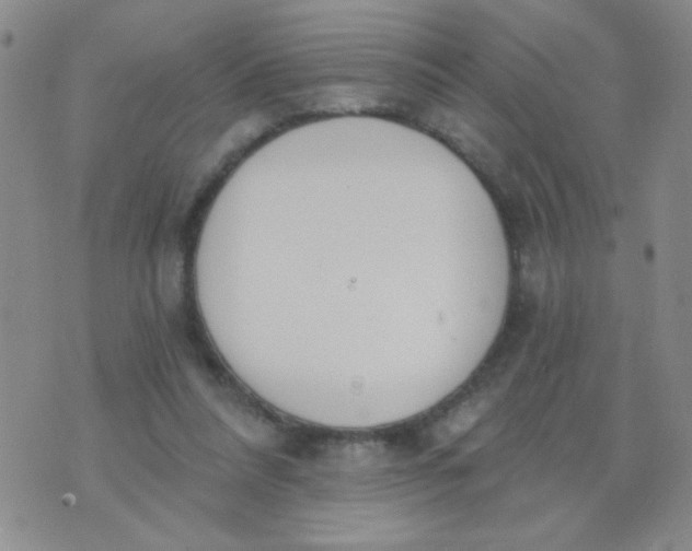 X0000074320304200609152039