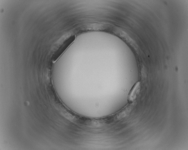 X0000074320305200609152039