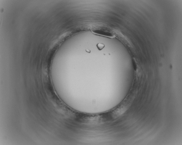 X0000074320306200609152039