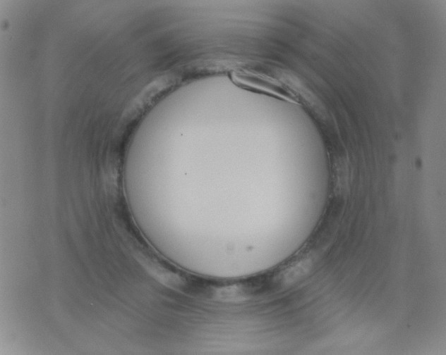 X0000074320309200609152038