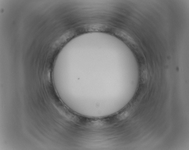 X0000074320310200609152038