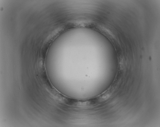 X0000074320314200609152038