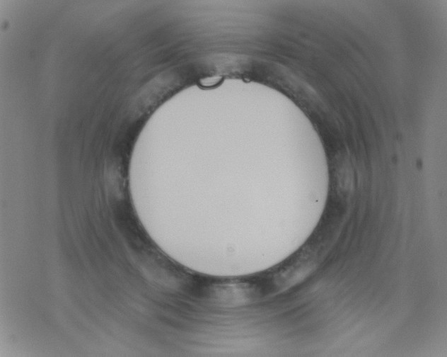 X0000074320316200609152038