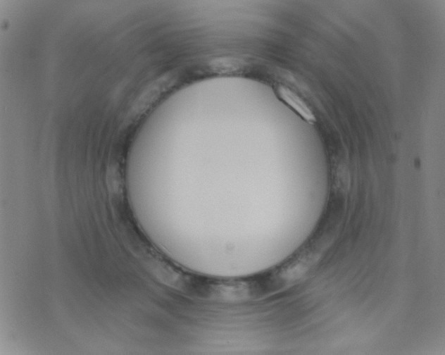 X0000074320317200609152038