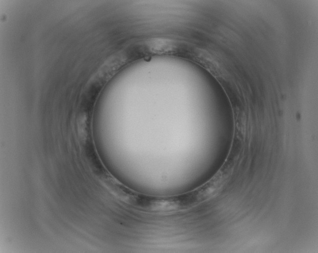 X0000074320319200609152038