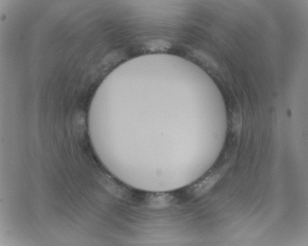 X0000074320321200609152038