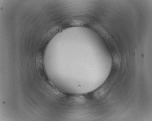 X0000074320322200609152038