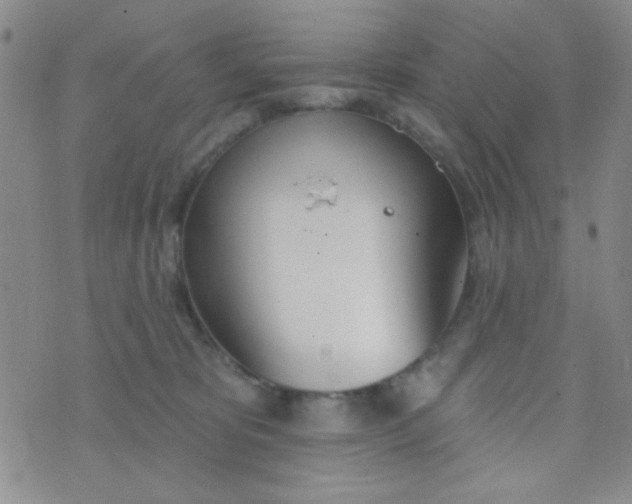 X0000074320325200609152038