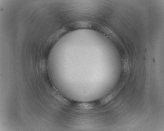 X0000074320326200609152038