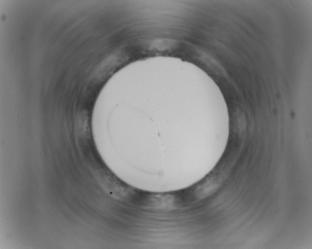 X0000074320328200609152038