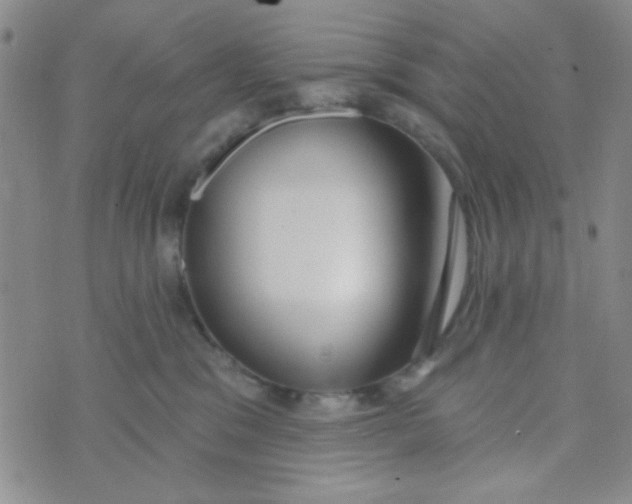 X0000074320329200609152038