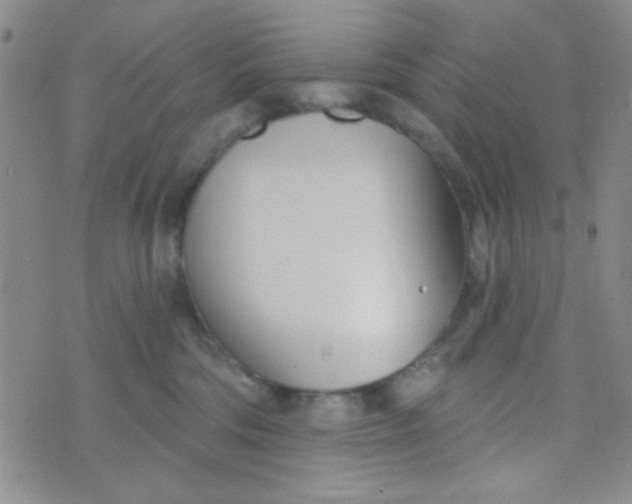 X0000074320330200609152038