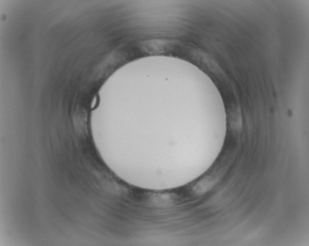 X0000074320332200609152038