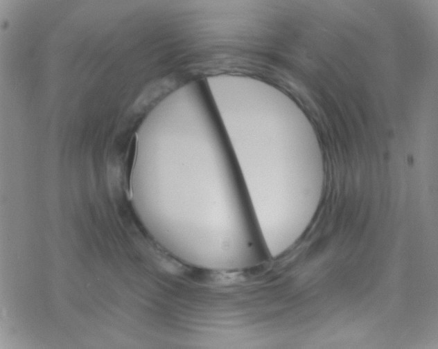 X0000074320333200609152038