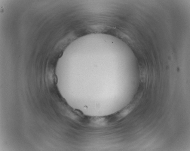 X0000074320334200609152038