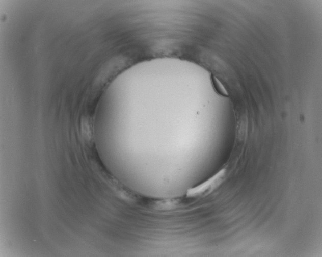 X0000074320335200609152038